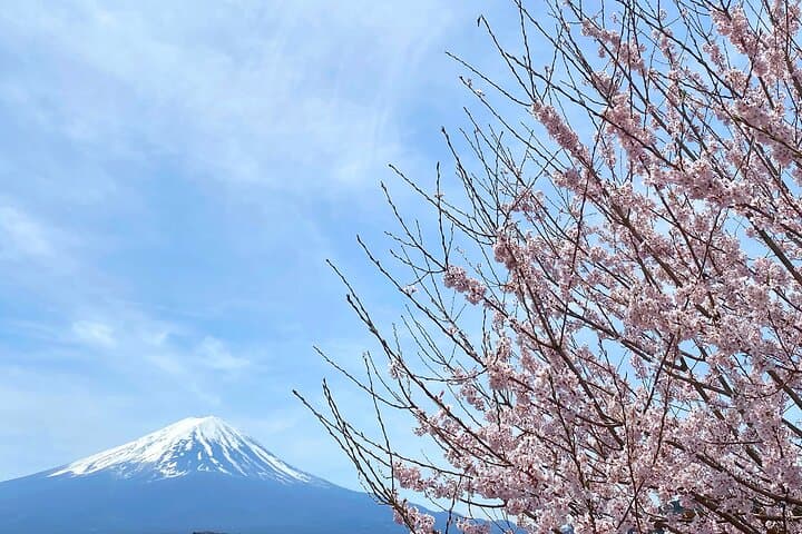 Full Day Private Tour to Mt Fuji by Luxury Vehicle — photo 7