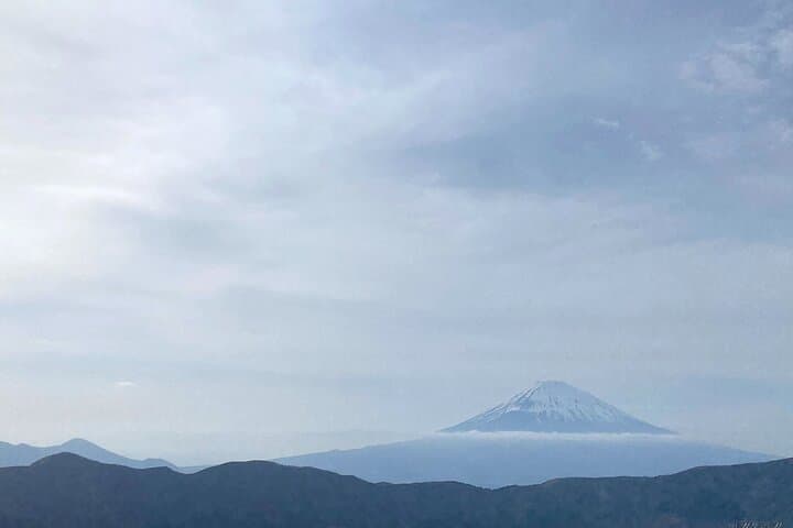 Full Day Private Tour to Mt Fuji by Luxury Vehicle — photo 8