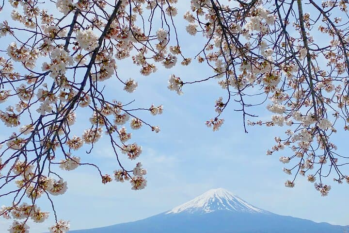 Full Day Private Tour to Mt Fuji by Luxury Vehicle — photo 9