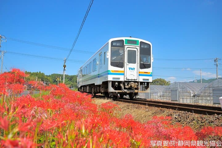 Kakegawa Castle and Sake Tasting Private Tour with Public Train — photo 3