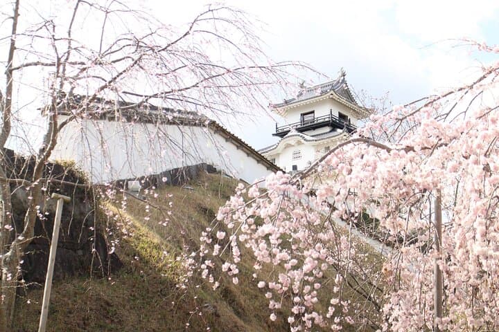Kakegawa Castle and Sake Tasting Private Tour with Public Train — photo 4