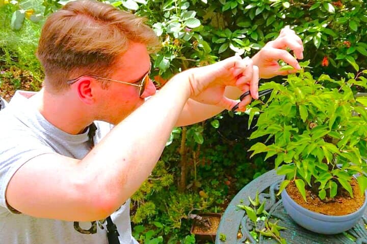Bonsai Tour & Experience at the Most Sacred City for Bonsai in JP — photo 1