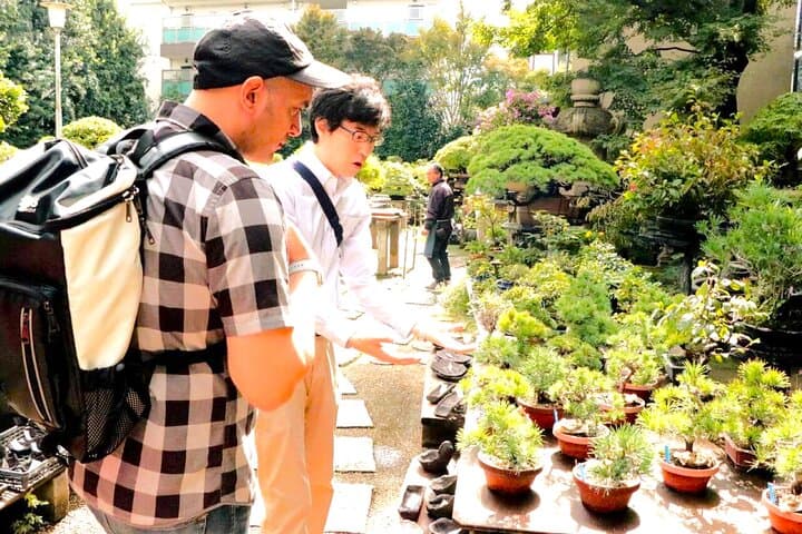Bonsai Tour & Experience at the Most Sacred City for Bonsai in JP — photo 17