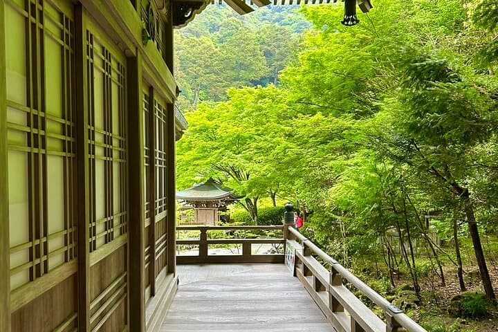 Hiroshima & Miyajima Full-Day Private Tour with Licensed Guide — photo 13