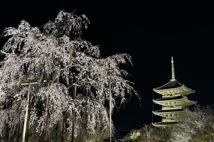 Kyoto/ Private Tour delivered and guided by a top-tier driver — photo 3