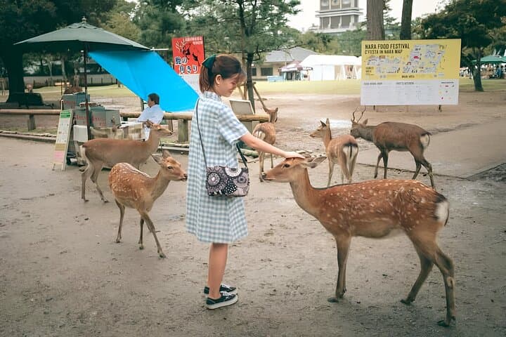 Taste of Nara A Guided Half Day Food Tour Tailored to Your Taste — photo 5