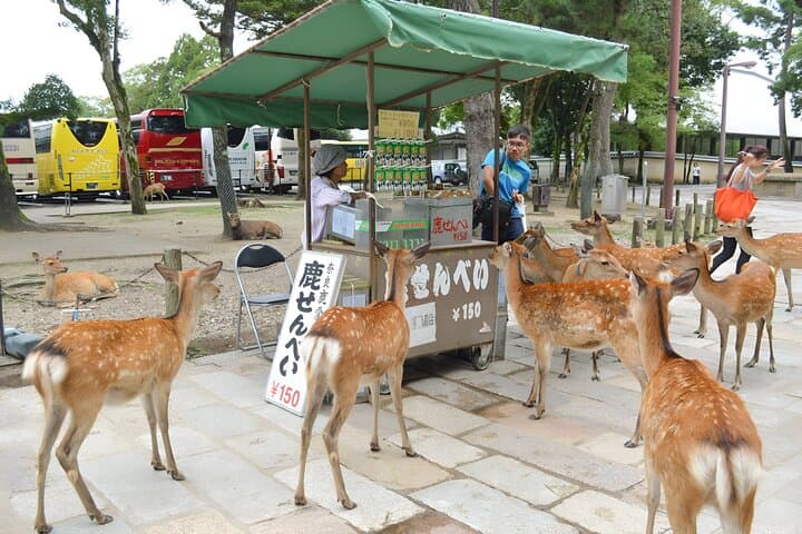Taste of Nara A Guided Half Day Food Tour Tailored to Your Taste — photo 9