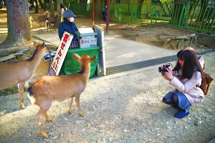 Taste of Nara A Guided Half Day Food Tour Tailored to Your Taste — photo 10