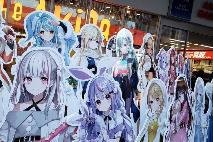 Akihabara Otaku Group Tour — photo 10