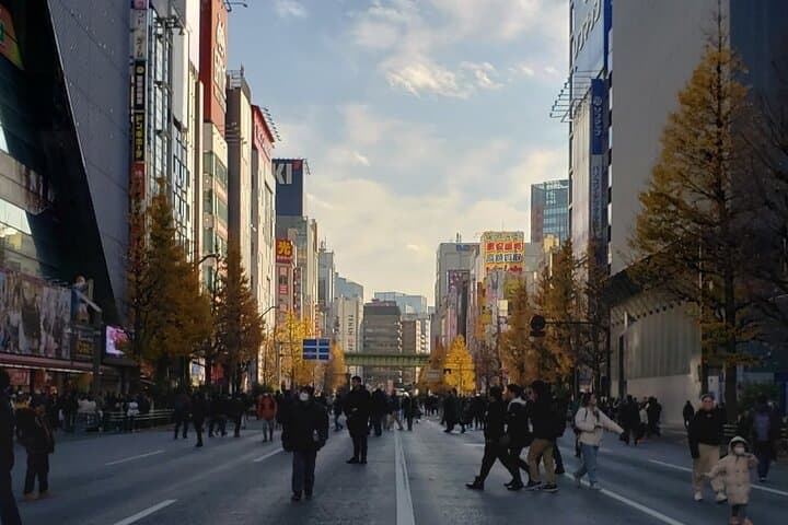 Akihabara Otaku Group Tour — photo 12
