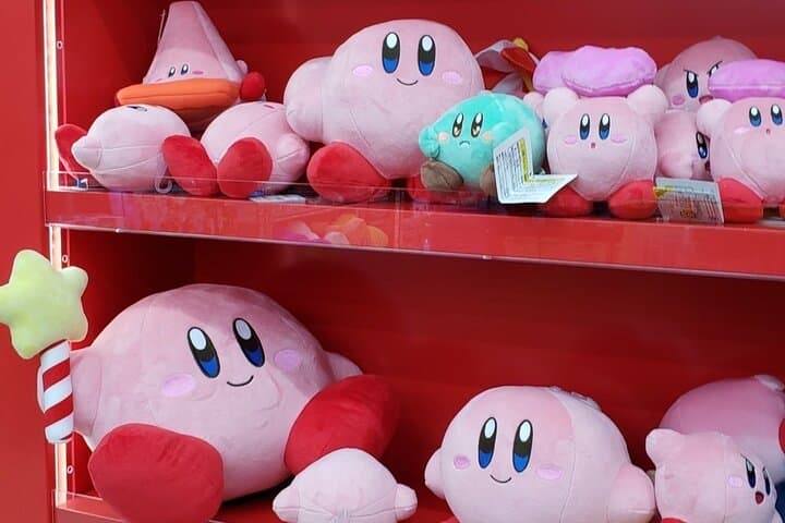 Akihabara Otaku Group Tour — photo 16