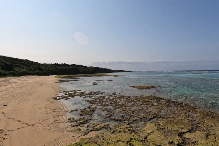 Okinawa's Gorgeous Beach & Snorkel Tour: Private & Customised — photo 11