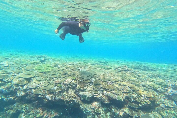 Okinawa's Gorgeous Beach & Snorkel Tour: Private & Customised — photo 18