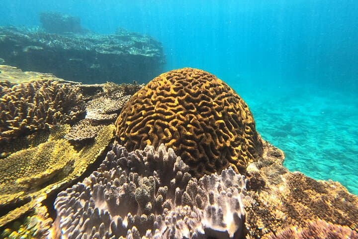 Okinawa's Gorgeous Beach & Snorkel Tour: Private & Customised — photo 7