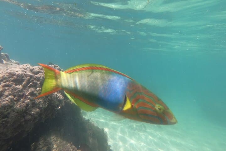 Okinawa's Gorgeous Beach & Snorkel Tour: Private & Customised — photo 19