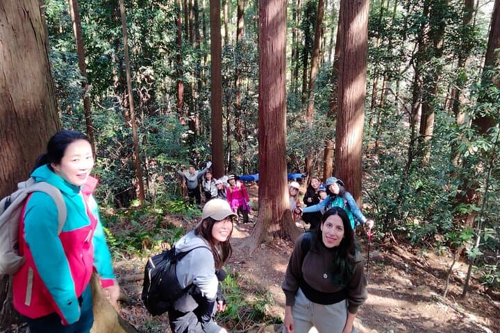 Countryside Walking & Mountain Hiking in Organic Town Near Tokyo — photo 2
