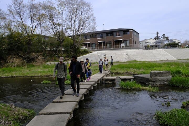 Countryside Walking & Mountain Hiking in Organic Town Near Tokyo — photo 7