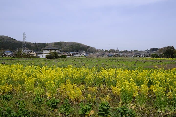 Countryside Walking & Mountain Hiking in Organic Town Near Tokyo — photo 8