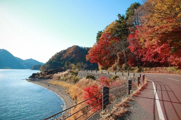 Mt. Fuji, Kawaguchiko, Oshino Hakkai and Sengen Park Day Tour — photo 5