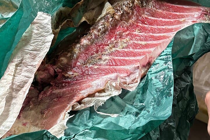 Tsukiji Fish Market Tour & Buy fish to eat at Hidden Home Kitchen — photo 6