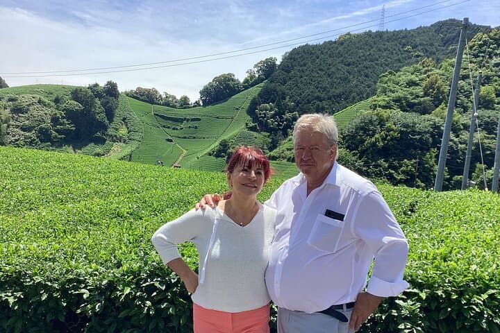 Small Group Japanese Green Tea Tasting in Shizuoka — photo 2