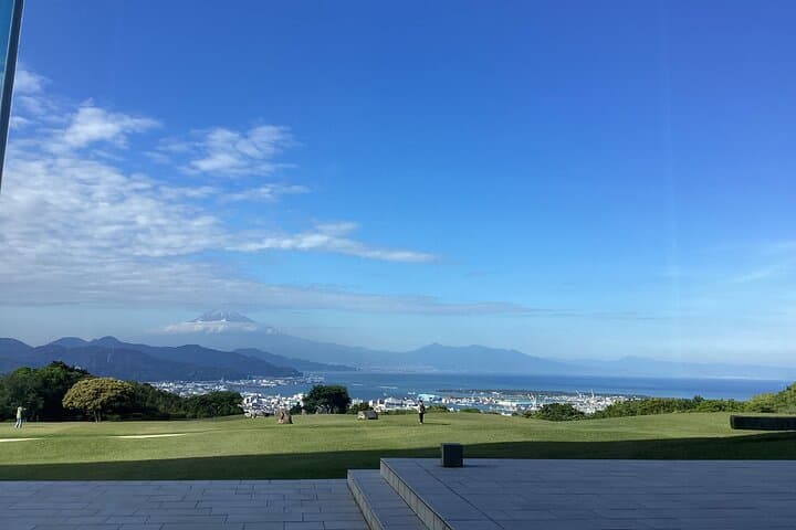 Small Group Japanese Green Tea Tasting in Shizuoka — photo 11