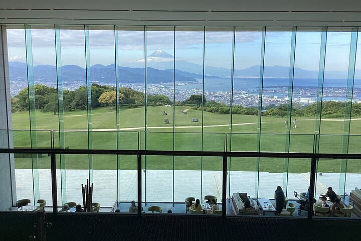 Small Group Japanese Green Tea Tasting in Shizuoka — photo 9