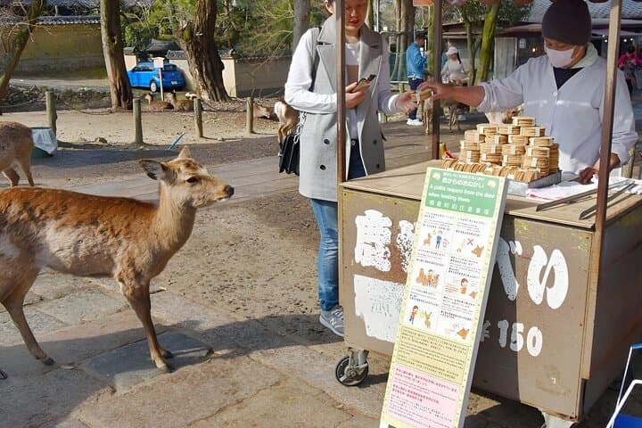 Taste of Nara A Guided Half Day Food Tour Tailored to Your Taste — photo 7