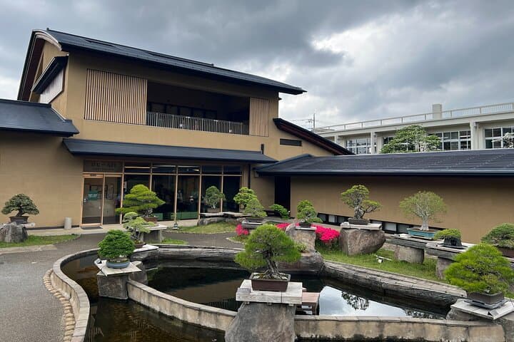 Private Omiya Bonsai Village Tour with Licensed Guide — photo 13