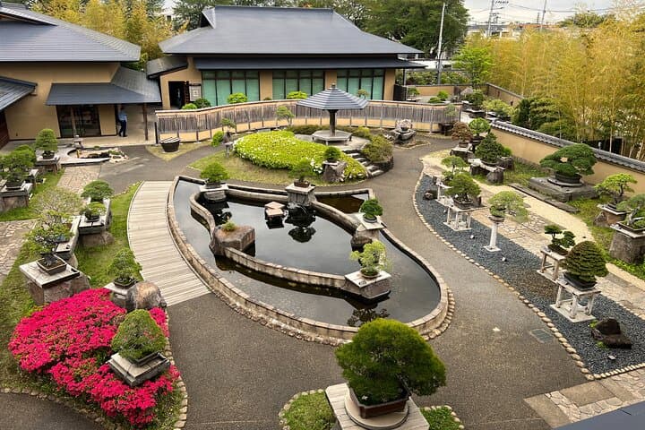 Private Omiya Bonsai Village Tour with Licensed Guide — photo 1