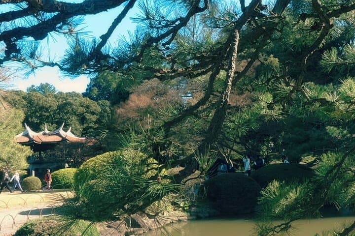 Private Tokyo Shinjuku Bus Tour with Licensed Guide — photo 15