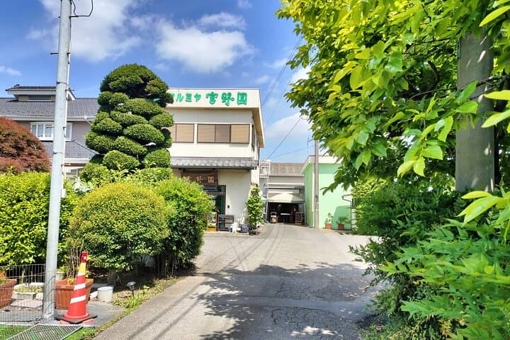 Experience Seasonal Green Tea Picking in Sayama and Nostalgic Walk in Kawagoe! — photo 7