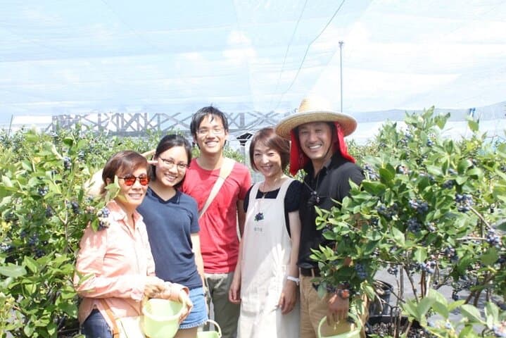 Blueberry picking and picking experience garden — photo 3