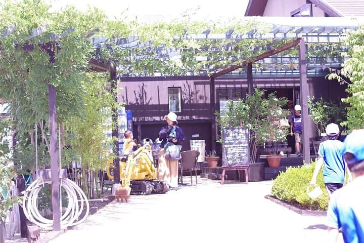 Blueberry picking and picking experience garden — photo 8