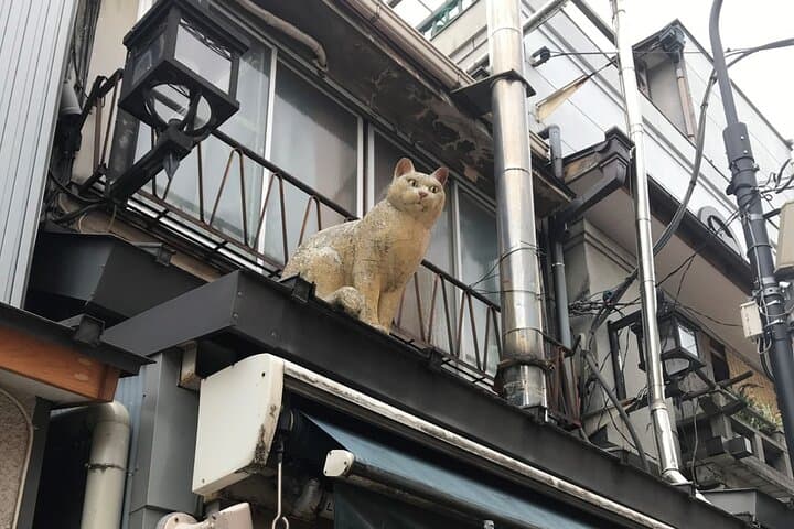 4 Hours Private Yanaka Town Tour — photo 13