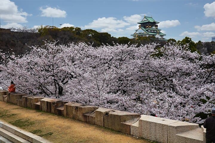 Private Osaka Tour from Kyoto with guide by public transportation — photo 13