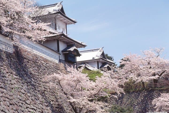 Kanazawa Half-Day Private Tour — photo 5