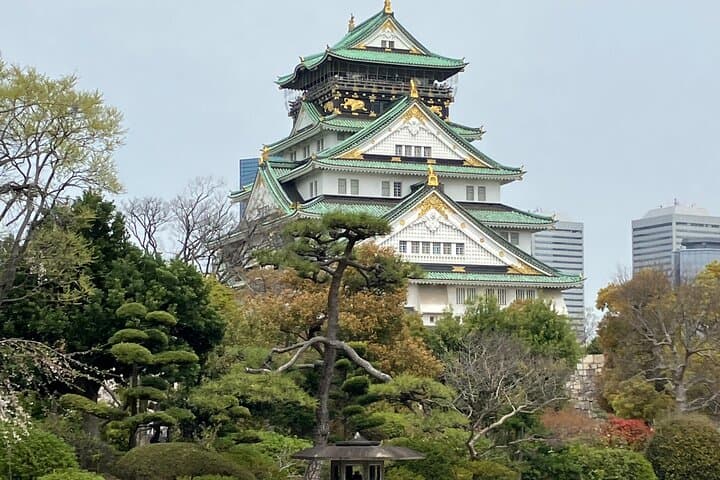 Private Osaka Tour from Your Hotel with Local Guide — photo 2