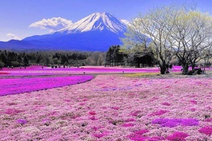 Private Mount Fuji and Hakone One Day Tour — photo 2