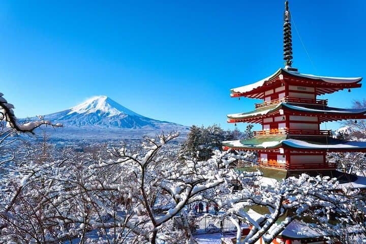 Private Mount Fuji and Hakone One Day Tour — photo 5