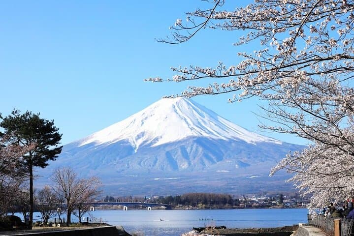 Private Mount Fuji and Hakone One Day Tour — photo 7