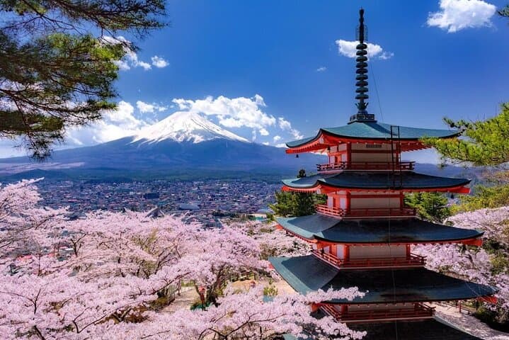 Private Mount Fuji and Hakone One Day Tour — photo 8