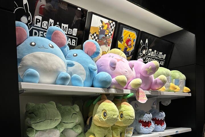 Private Car Tour for Anime Manga Game and Otaku Tour in Tokyo — photo 5