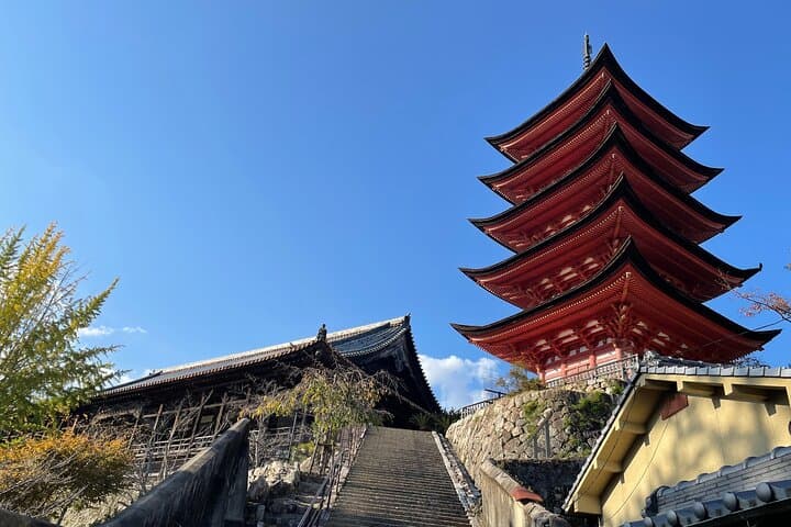 Miyajima Island Tour with Certified Local Guide — photo 17