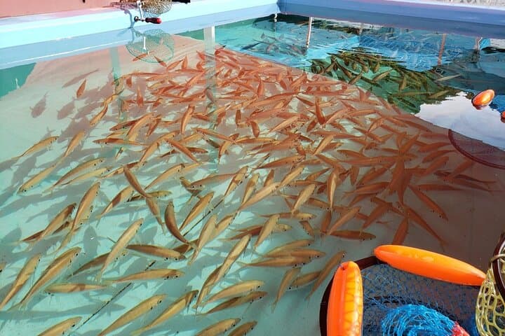 Seawater Fishing Pond and Hamayaki Grill BBQ Experience — photo 3