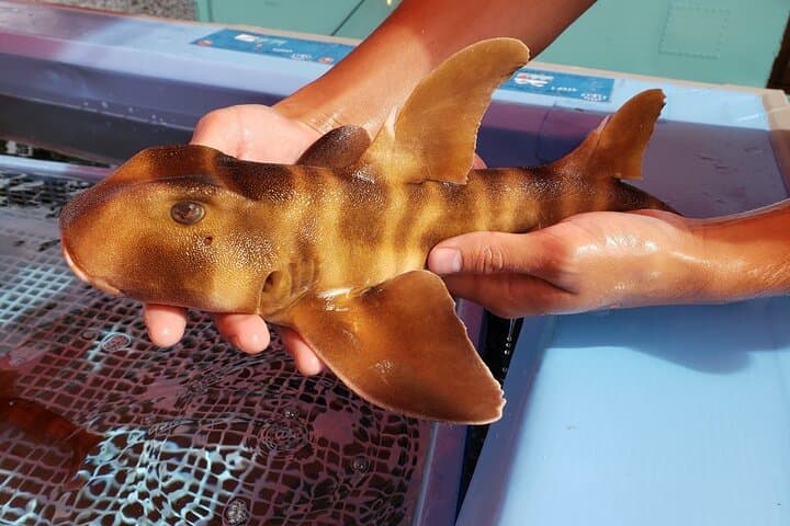 Seawater Fishing Pond and Hamayaki Grill BBQ Experience — photo 2