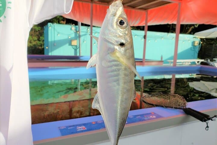 Seawater Fishing Pond and Hamayaki Grill BBQ Experience — photo 1