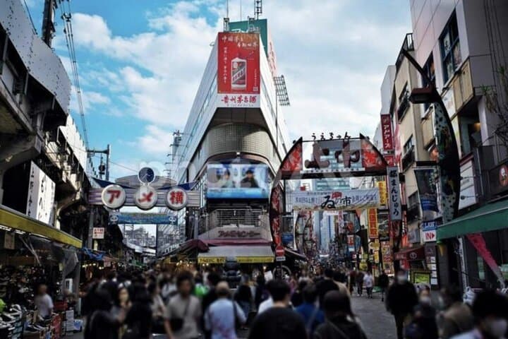 Ueno and Yanaka Culture Art Walking Tour in Old Tokyo — photo 9