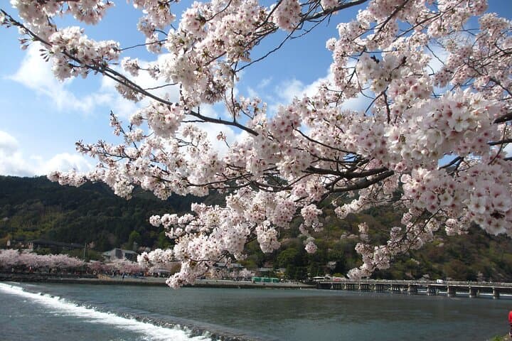 Kyoto Bus Tour: Arashiyama, Kinkaku-ji, Fushimiinari Shrine — photo 3