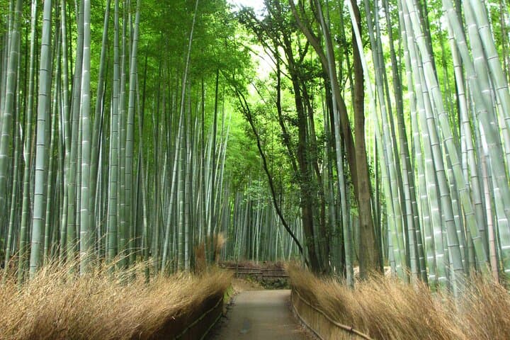 Kyoto Bus Tour: Arashiyama, Kinkaku-ji, Fushimiinari Shrine — photo 1